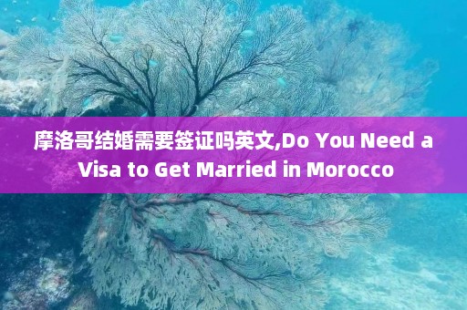 摩洛哥结婚需要签证吗英文,Do You Need a Visa to Get Married in Morocco