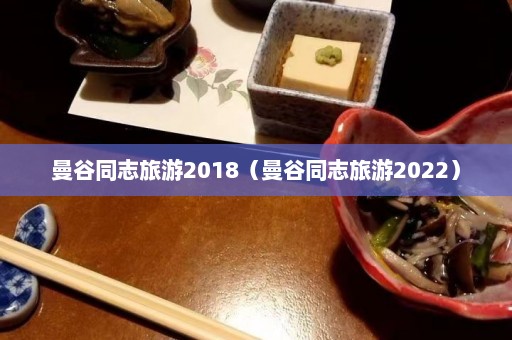 曼谷同志旅游2018（曼谷同志旅游2022）