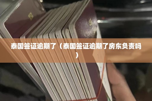 泰国签证逾期了（泰国签证逾期了房东负责吗）  第1张