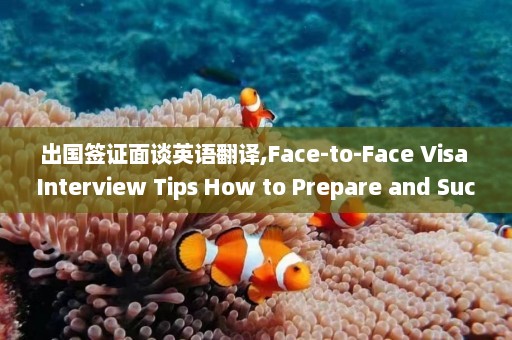 出国签证面谈英语翻译,Face-to-Face Visa Interview Tips How to Prepare and Succeed