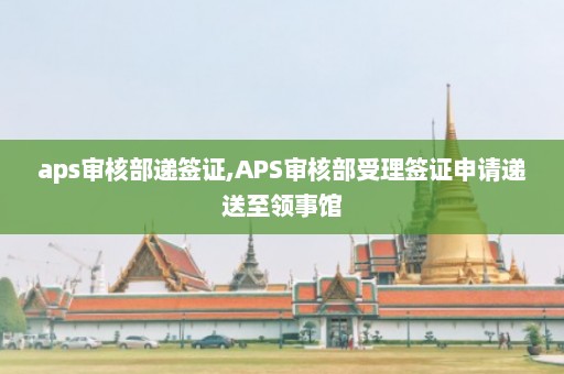 aps审核部递签证,APS审核部受理签证申请递送至领事馆  第1张