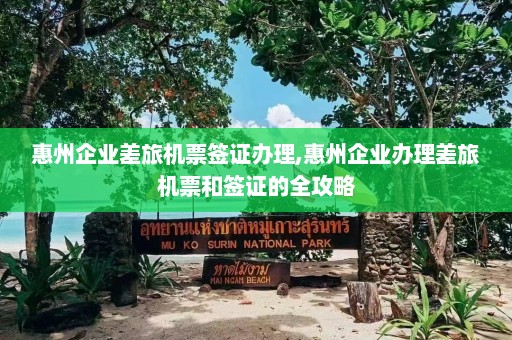 惠州企业差旅机票签证办理,惠州企业办理差旅机票和签证的全攻略