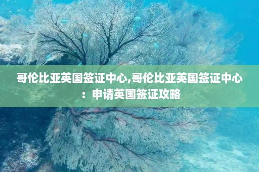 哥伦比亚英国签证中心,哥伦比亚英国签证中心：申请英国签证攻略