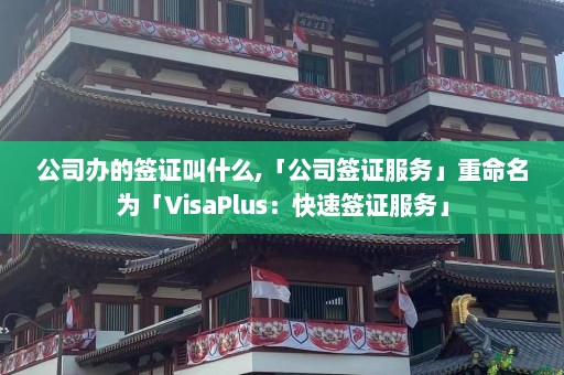 公司办的签证叫什么,「公司签证服务」重命名为「VisaPlus：快速签证服务」