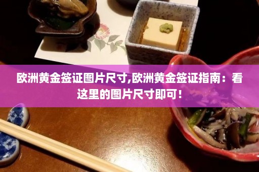 欧洲黄金签证图片尺寸,欧洲黄金签证指南：看这里的图片尺寸即可！