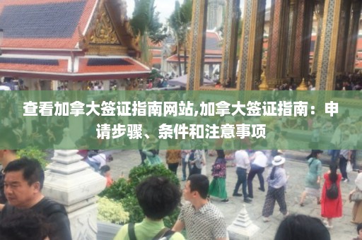 查看加拿大签证指南网站,加拿大签证指南：申请步骤、条件和注意事项  第1张