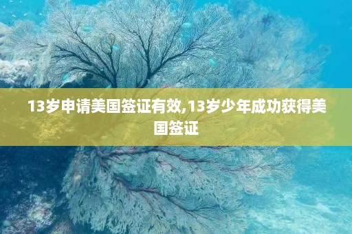 13岁申请美国签证有效,13岁少年成功获得美国签证