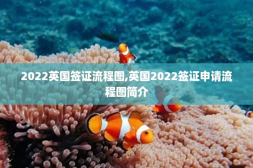 2022英国签证流程图,英国2022签证申请流程图简介