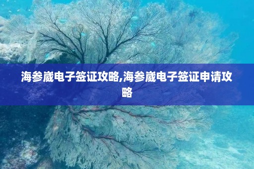 海参崴电子签证攻略,海参崴电子签证申请攻略