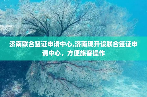 济南联合签证申请中心,济南现开设联合签证申请中心，方便旅客操作