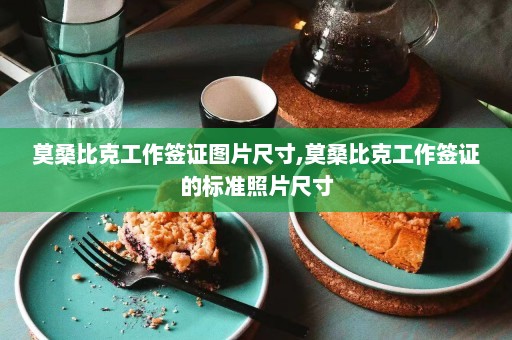 莫桑比克工作签证图片尺寸,莫桑比克工作签证的标准照片尺寸