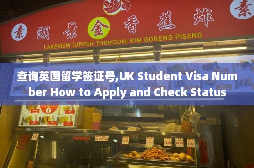 查询英国留学签证号,UK Student Visa Number How to Apply and Check Status