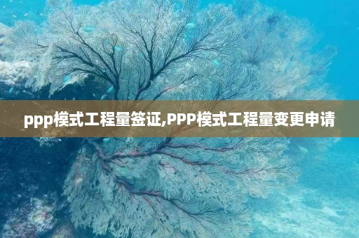 ppp模式工程量签证,PPP模式工程量变更申请