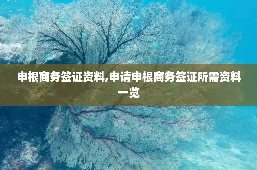 申根商务签证资料,申请申根商务签证所需资料一览