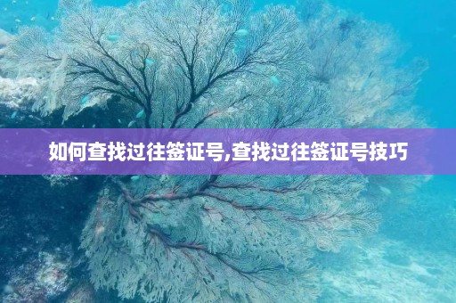 如何查找过往签证号,查找过往签证号技巧