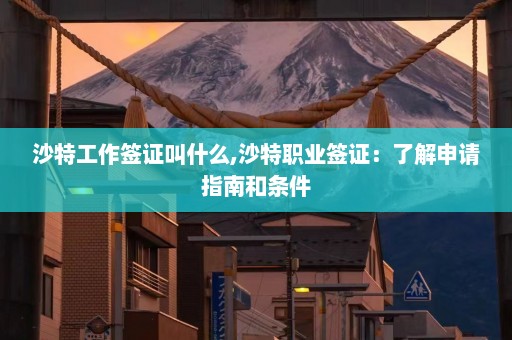 沙特工作签证叫什么,沙特职业签证：了解申请指南和条件