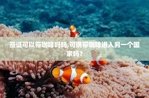 签证可以带咖啡吗吗,可携带咖啡进入另一个国家吗？