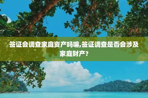 签证会调查家庭资产吗嘛,签证调查是否会涉及家庭财产？