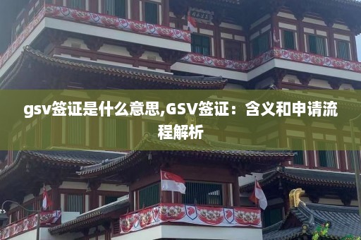 gsv签证是什么意思,GSV签证：含义和申请流程解析