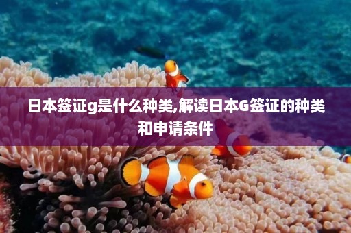 日本签证g是什么种类,解读日本G签证的种类和申请条件