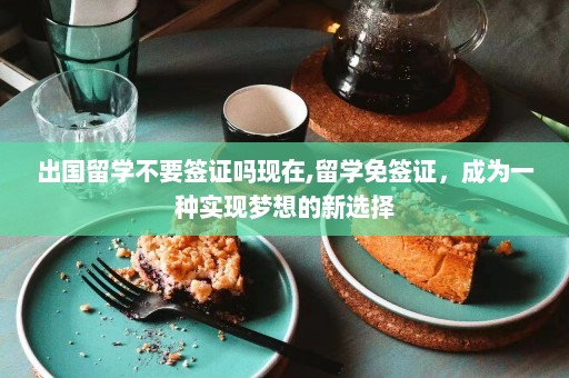 出国留学不要签证吗现在,留学免签证，成为一种实现梦想的新选择