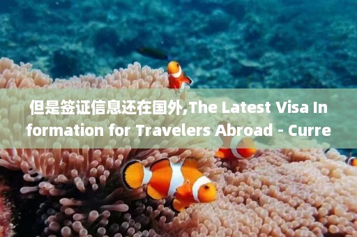 但是签证信息还在国外,The Latest Visa Information for Travelers Abroad - Current Visa Updates for International Travelers