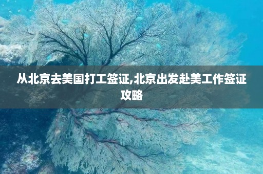 从北京去美国打工签证,北京出发赴美工作签证攻略