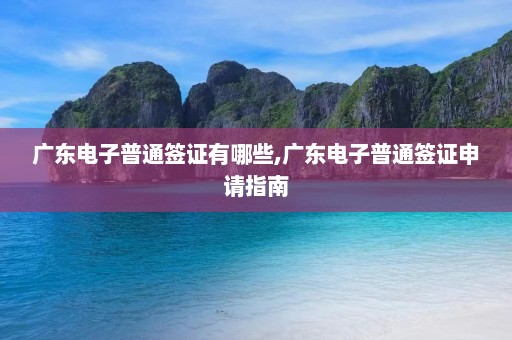 广东电子普通签证有哪些,广东电子普通签证申请指南