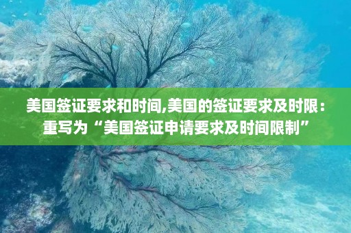 美国签证要求和时间,美国的签证要求及时限：重写为“美国签证申请要求及时间限制”