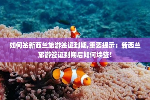 如何签新西兰旅游签证到期,重要提示：新西兰旅游签证到期后如何续签！