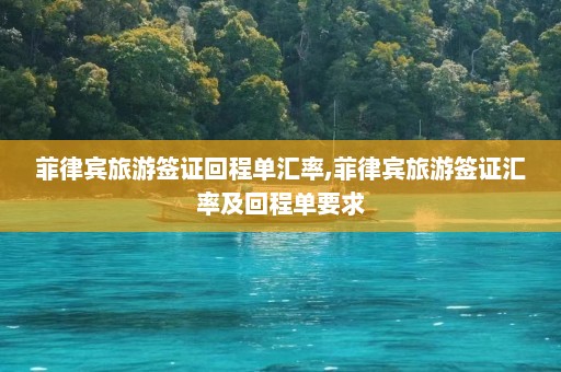 菲律宾旅游签证回程单汇率,菲律宾旅游签证汇率及回程单要求