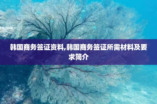 韩国商务签证资料,韩国商务签证所需材料及要求简介