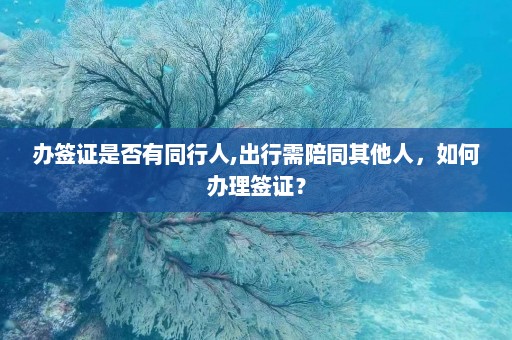 办签证是否有同行人,出行需陪同其他人，如何办理签证？