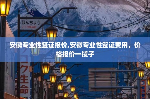 安徽专业性签证报价,安徽专业性签证费用，价格报价一揽子