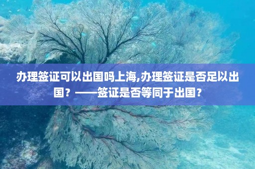 办理签证可以出国吗上海,办理签证是否足以出国？——签证是否等同于出国？