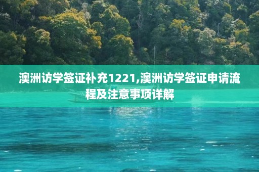 澳洲访学签证补充1221,澳洲访学签证申请流程及注意事项详解