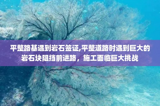 平整路基遇到岩石签证,平整道路时遇到巨大的岩石块阻挡前进路，施工面临巨大挑战