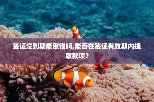 签证没到期能取钱吗,能否在签证有效期内提取款项？