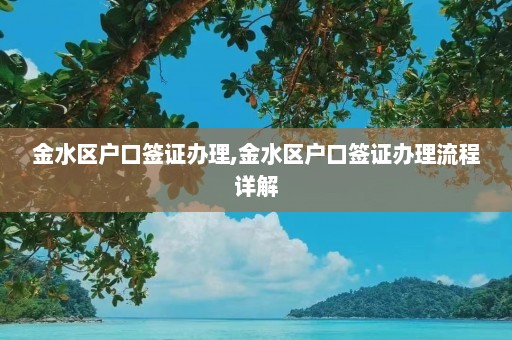 金水区户口签证办理,金水区户口签证办理流程详解