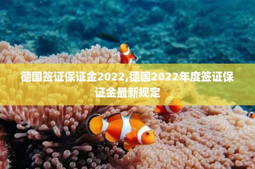 德国签证保证金2022,德国2022年度签证保证金最新规定