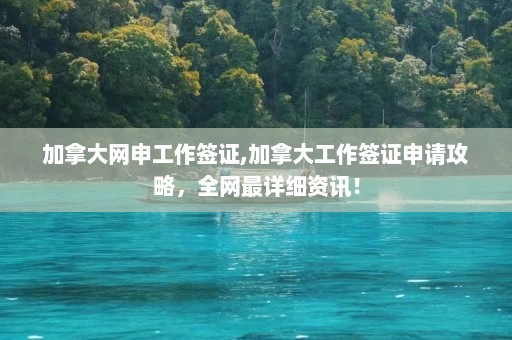 加拿大网申工作签证,加拿大工作签证申请攻略，全网最详细资讯！