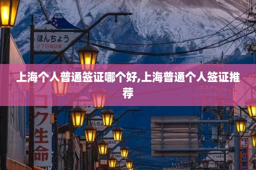 上海个人普通签证哪个好,上海普通个人签证推荐