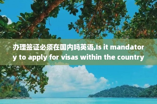 办理签证必须在国内吗英语,Is it mandatory to apply for visas within the country