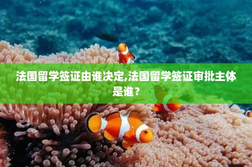 法国留学签证由谁决定,法国留学签证审批主体是谁？