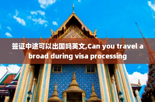 签证中途可以出国吗英文,Can you travel abroad during visa processing