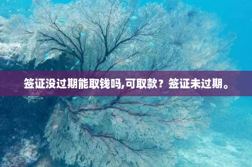 签证没过期能取钱吗,可取款？签证未过期。