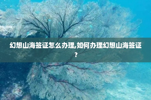 幻想山海签证怎么办理,如何办理幻想山海签证？