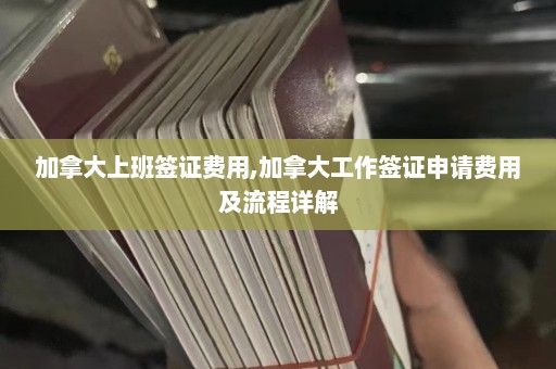 加拿大上班签证费用,加拿大工作签证申请费用及流程详解