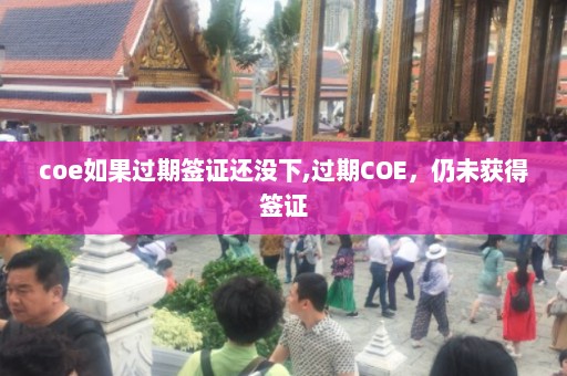 coe如果过期签证还没下,过期COE，仍未获得签证  第1张