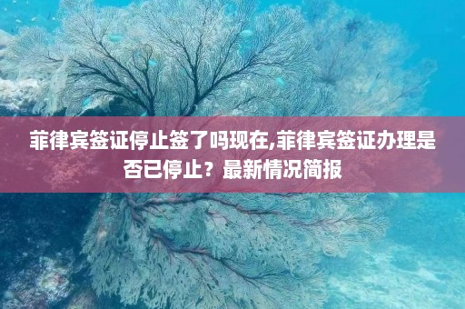 菲律宾签证停止签了吗现在,菲律宾签证办理是否已停止？最新情况简报